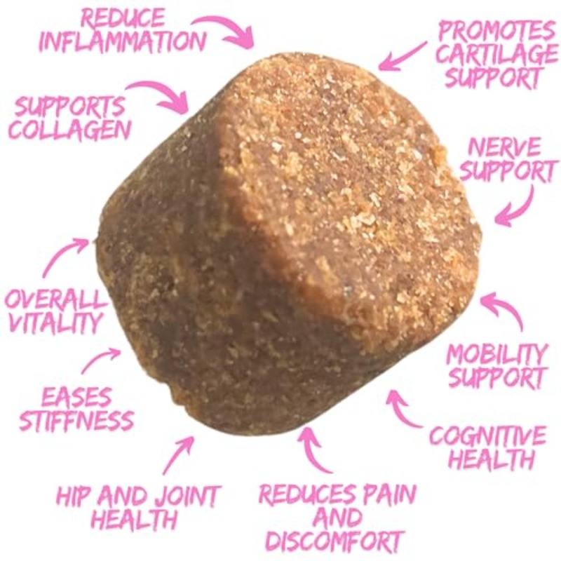 Hip and Joint Support - Glucosamine for Dogs Soft Chews, Joint Supplement with Glucosamine, Omega 3 and 6, MSM, Turmeric, Anti Inflammatory, Support + Mobility 120 Soft Chews