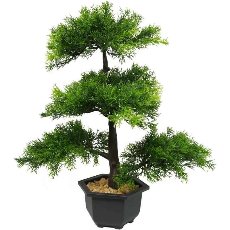 bonsai trees indoor sold on Temu United States