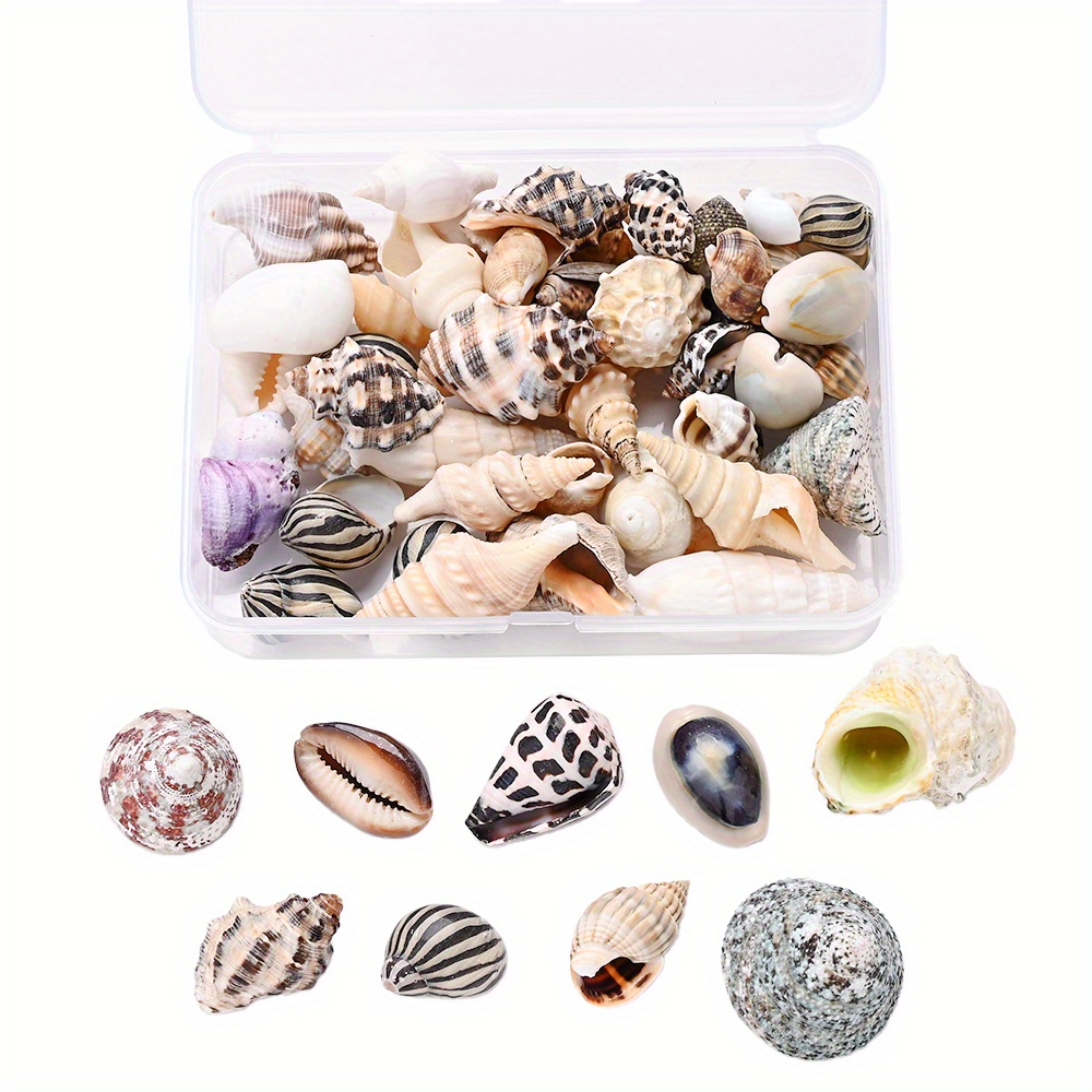 TEMU 100g/.5-10cm Mixed Shell Conch Beads Without Hole Summer Jewelry Beads Supplies - Beads For Jewelry Making Beach Style Earrings, Necklaces, And
