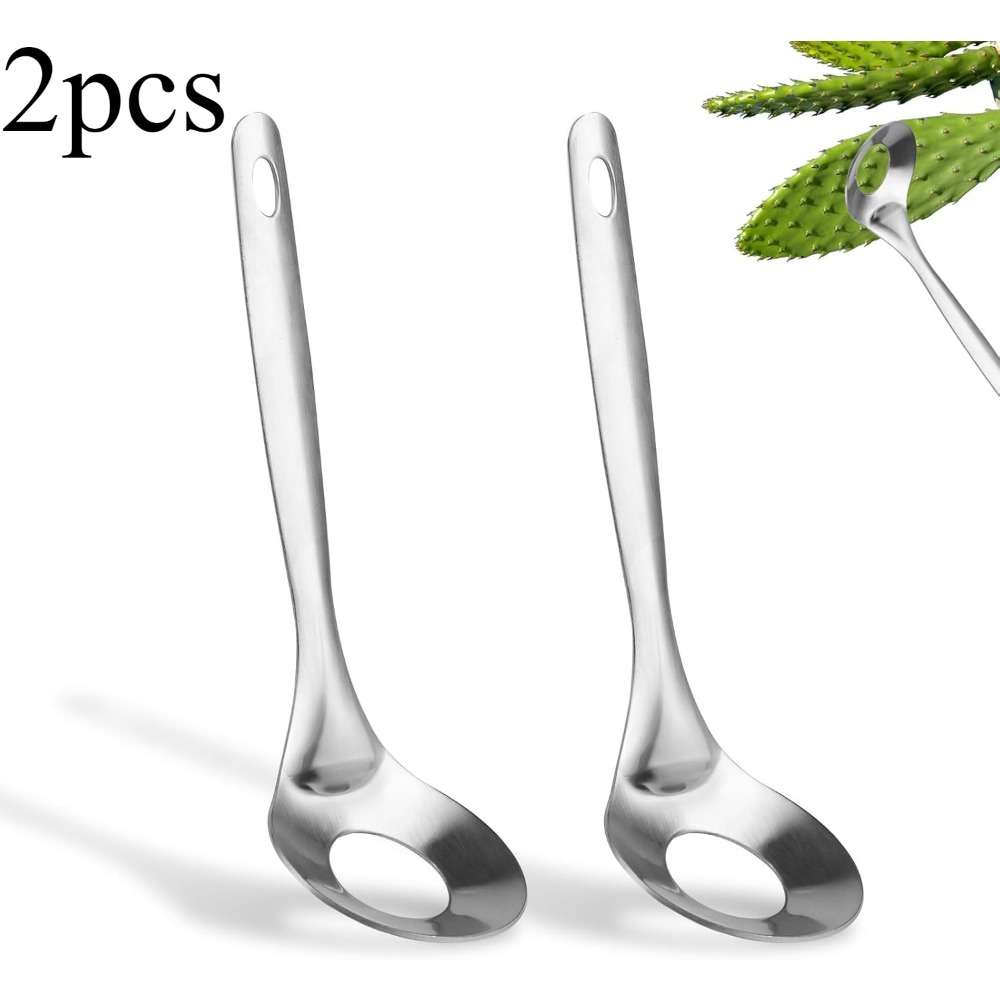 2pcs Of High-quality Stainless Steel Cactus Peelers, Cuchara Pelador De Nopales, Modern Perforated Spoon-style Cactus Cutting Tools, Practical Kitchen Cooking Supplies (silvery)