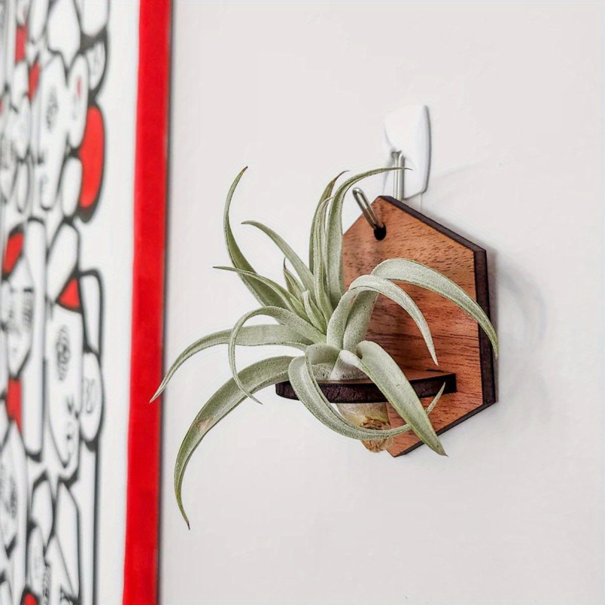 TEMU 1pc 1pcs Wood Hanging Air Plant Shelf - Rustic Hexagonal Plant Stand Suitable For, Air Plants, Hanging Display With Wood, Space-saving Vertical