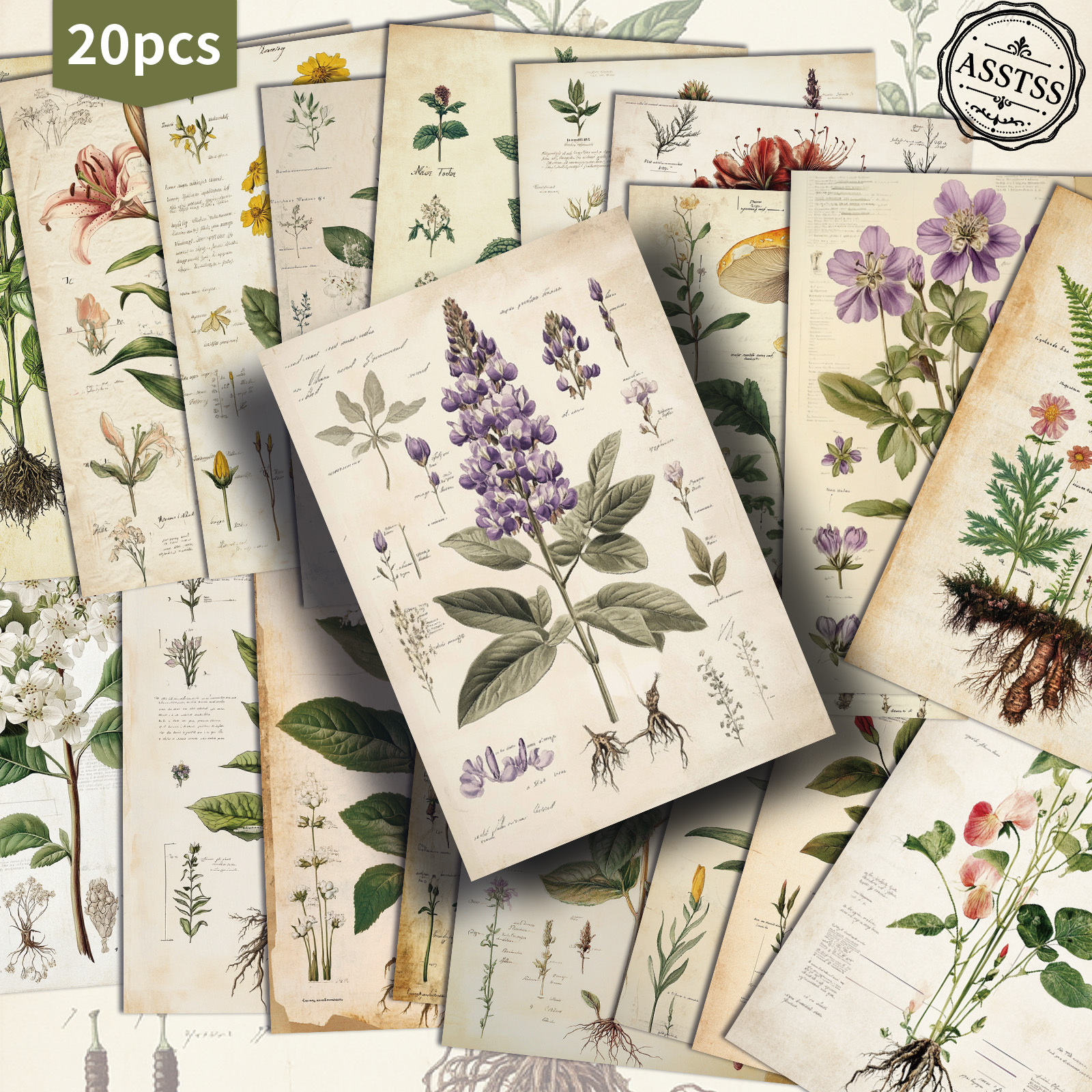 TEMU 20-pack Asstss Vintage Botanical Poster Postcards - 4x6 Inches Retro Junk Journal Supplies, Classic Pinup Illustrations Collectible Decorative
