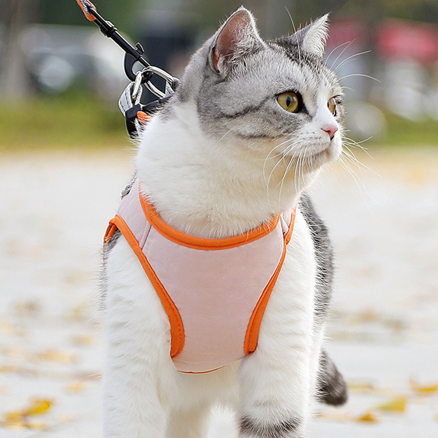 Dog Leash with Chest Strap for Small Dogs, Adjustable Vest Style