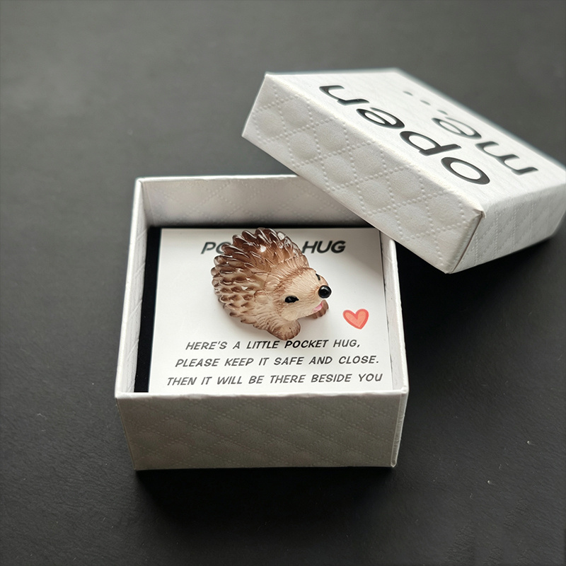 TEMU Fun Hedgehog Box Gift, 