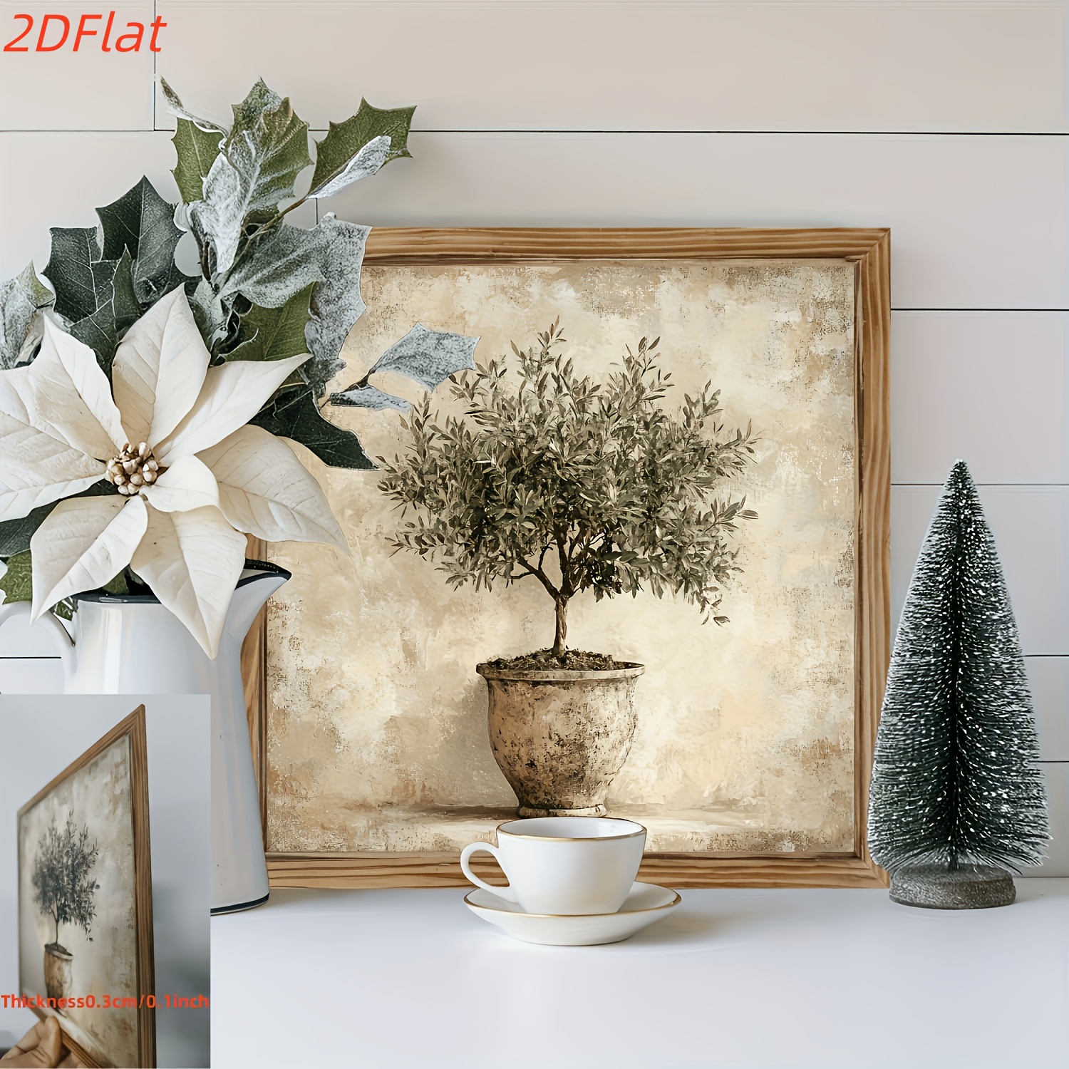 japanischer olivenbaum Olivenbaum ,60 Jahre, knorriger Gartenbonsai – toskanagartenshop main image 1