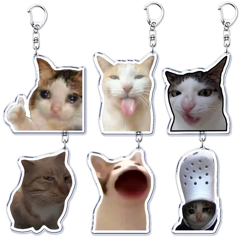 TEMU 2d Flat, 6 Keychains, Acrylic Material, Featuring Fragile Thumb And Cat Designs, Suitable As Bag Accessories And Gifts For Fans, , And Students.