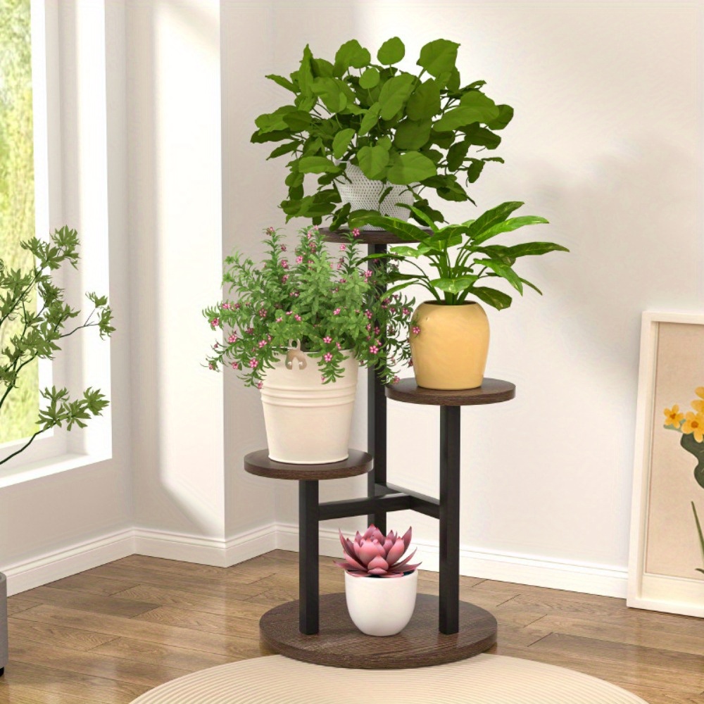 orchidee mit weien blten weie Orchidee  Elegante blhende Pflanze Mnchen
