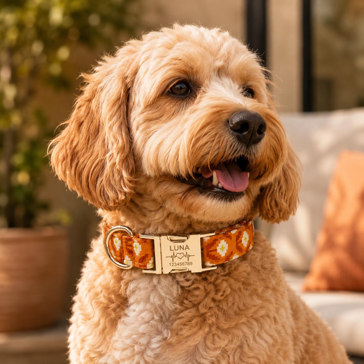Custom Name & Phone Number Pet Collar, Universal Personalized Design