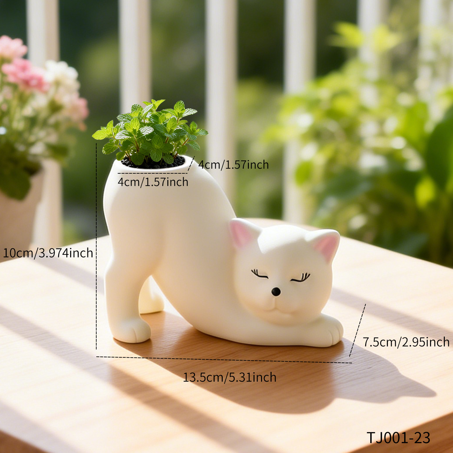 TEMU 1pc/Bohème Design Créatif Chaton Pot de Fleurs Propagation de Plantes, Léger Multi-, Version Anti-Chute en Résine Synthétique, Convient pour