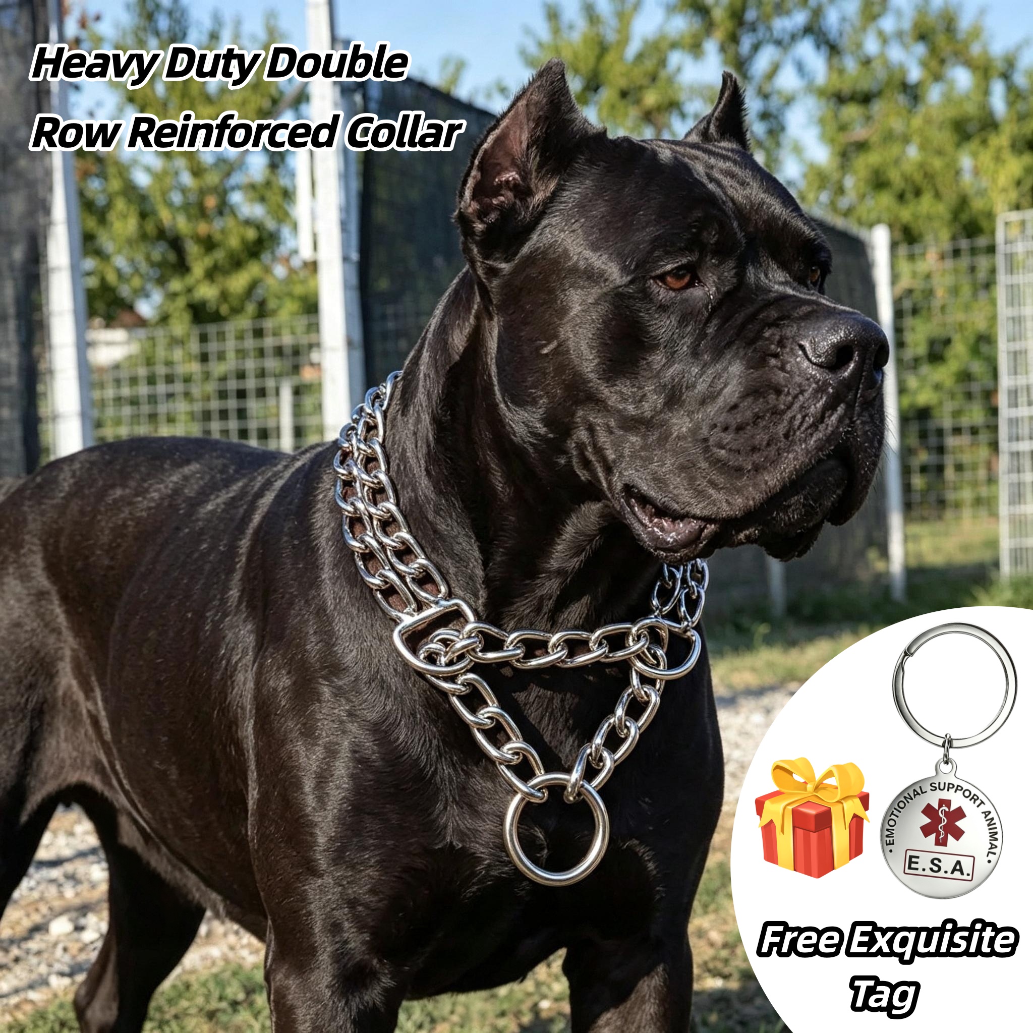 小物 DOUBLE MINI PITBULL CHAIN ( Order) 小物 DOUBLE MINI PITBULL CHAIN ( Order) Pitbull Chain for sale | eBay