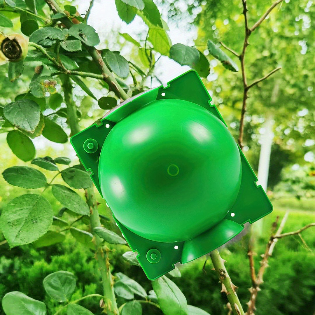 Confezione da 6 scatole per la crescita delle radici delle piante, taglio, innesto, scatola per la propagazione delle radici, S-5 cm | Leroy Merlin