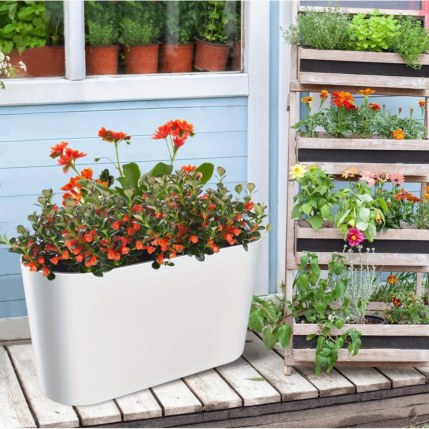 3 inch succulent pots Succulent Arrangement main image 1