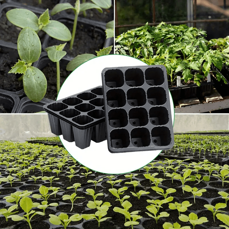 

6pcs Of -hole Seedling Trays, Plastic Seedling Propagation Pots, Reusable Seed Entry Trays With Drainage Holes, Suitable For Germination Of Vegetable, , And Flower Plant Seedlings