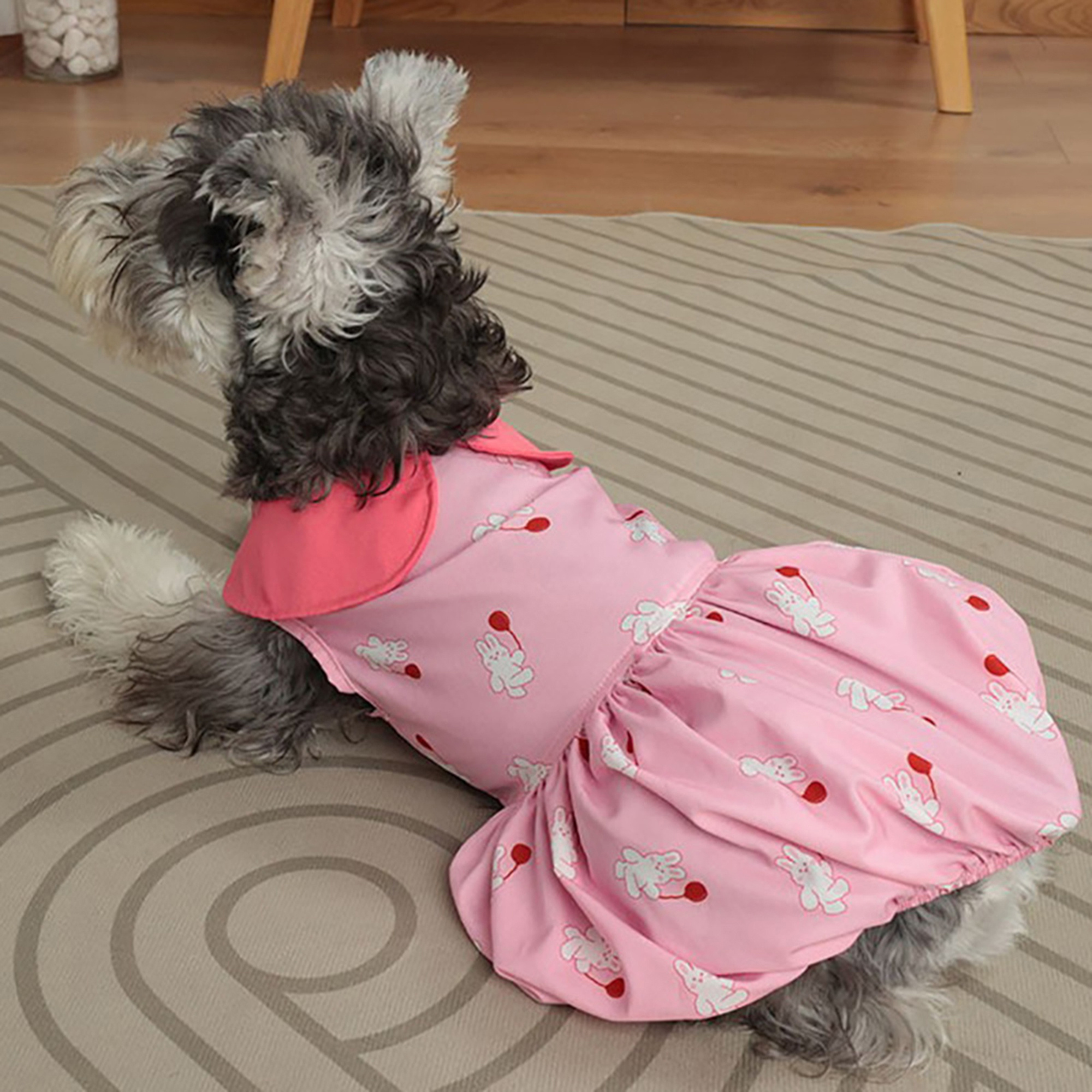 slim fit dress slacks Dolly pet summer lace dress main image 0