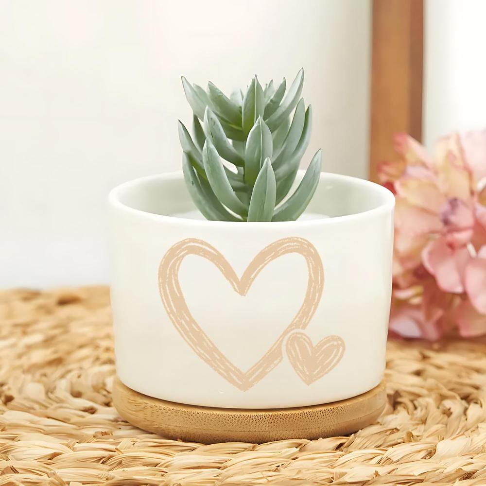 TEMU de cerámica para suculentas con platillo de bambú - de a , para uso en exteriores, beige minimalista, adecuada para decoración de escritorio de