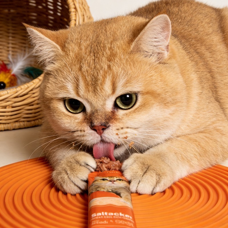 a   of 60   wet food snacks cat strips 900g nutritional reward the most   way to provide high quality   cats must store staple food   an   gift for   kittens and   cats Product details 5