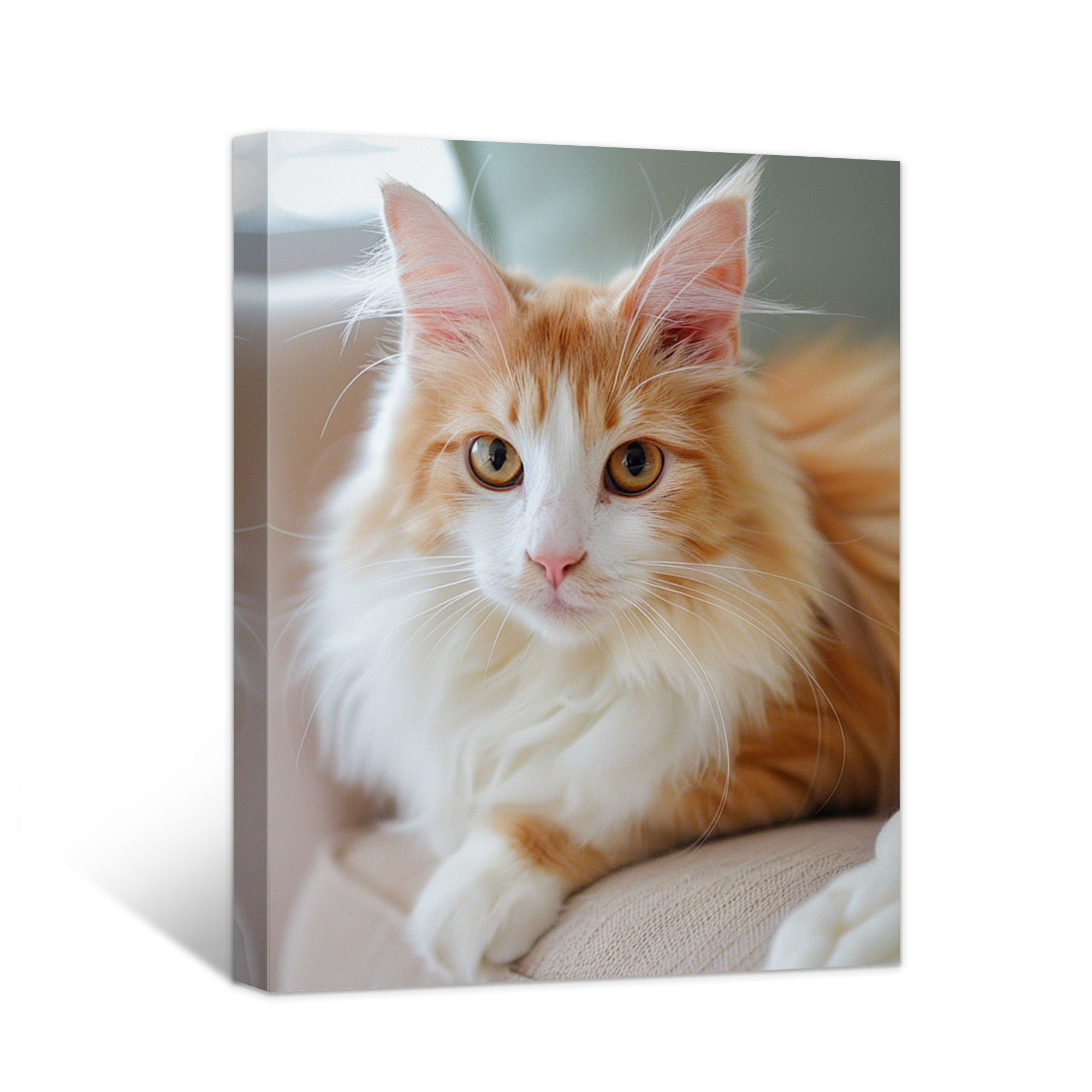 TEMU 2d Flat, 2d Flat, Personalized Canvas Artwork Featuring Your Images - Tailored Poster Photo Prints, Custom Canvas Wall Art For Your For Home
