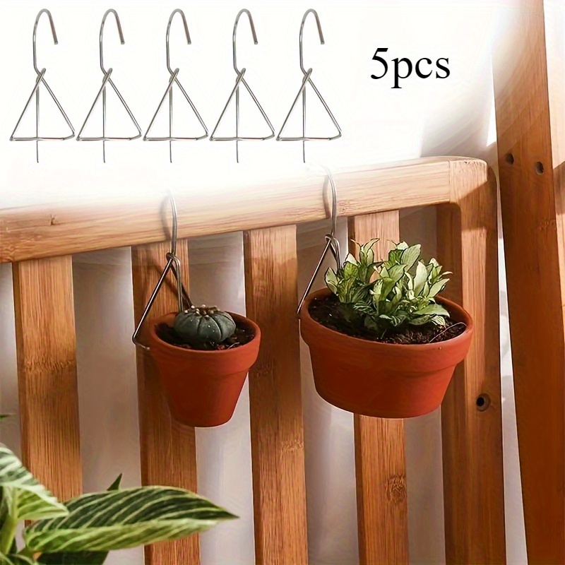 swedish ivy indoor plant Swedish Ivy  Plant Detectives