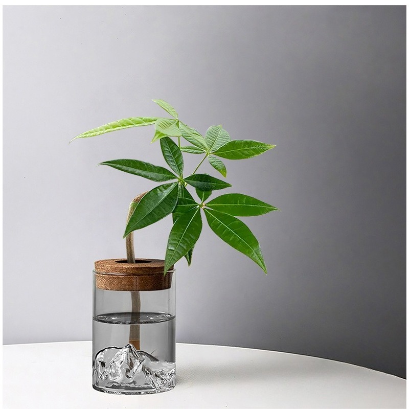 2pcs set   glass vase hydroponic green plant micro landscape creative desktop decoration for     potted plant for   Product details 4