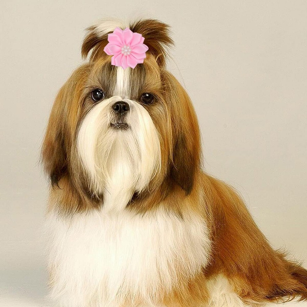 36pcs pet hair clips cat dress hair clips rubber band head Temu