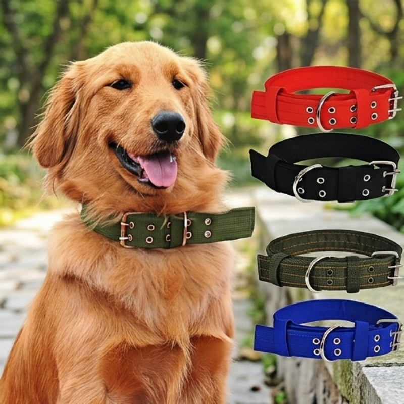 Double-Button Dog Collar for Medium Dogs with Adjustable Leash