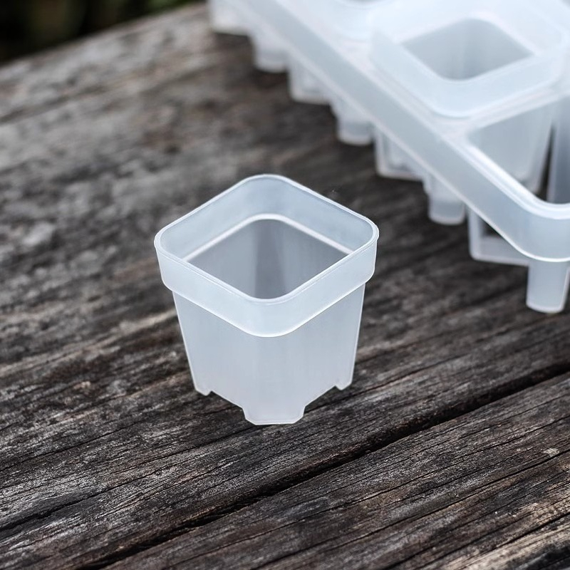 E-shop 20 Stück Transparente Mini-Samenbehälter, Leichte Quadratische Sukkulenten-Startbeutel aus Kunststoff, mit Drainagelöchern, Für Innen- und