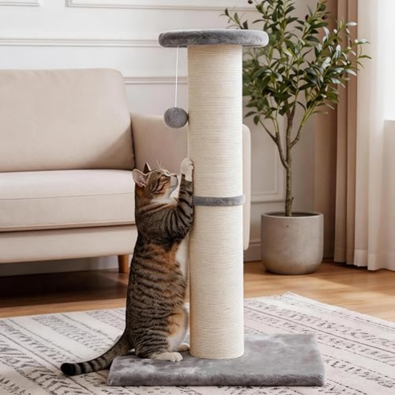 cat scratching post 32 tall 5 inch diameternatural sisal cat scratch post with dangling ball protect your furniture scratch resistant and durable for indoor cats