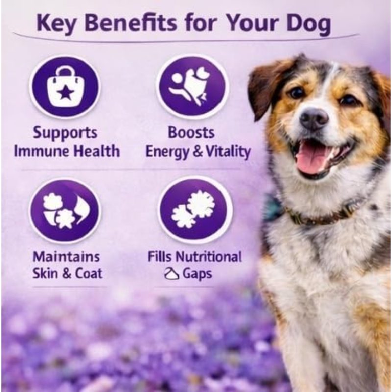 BASILSY MULTIVITAMIN Chicken Chews 120 Each