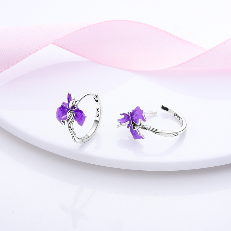 Women's S925 Hypoallergenic Classic Hoop Earrings, Gift