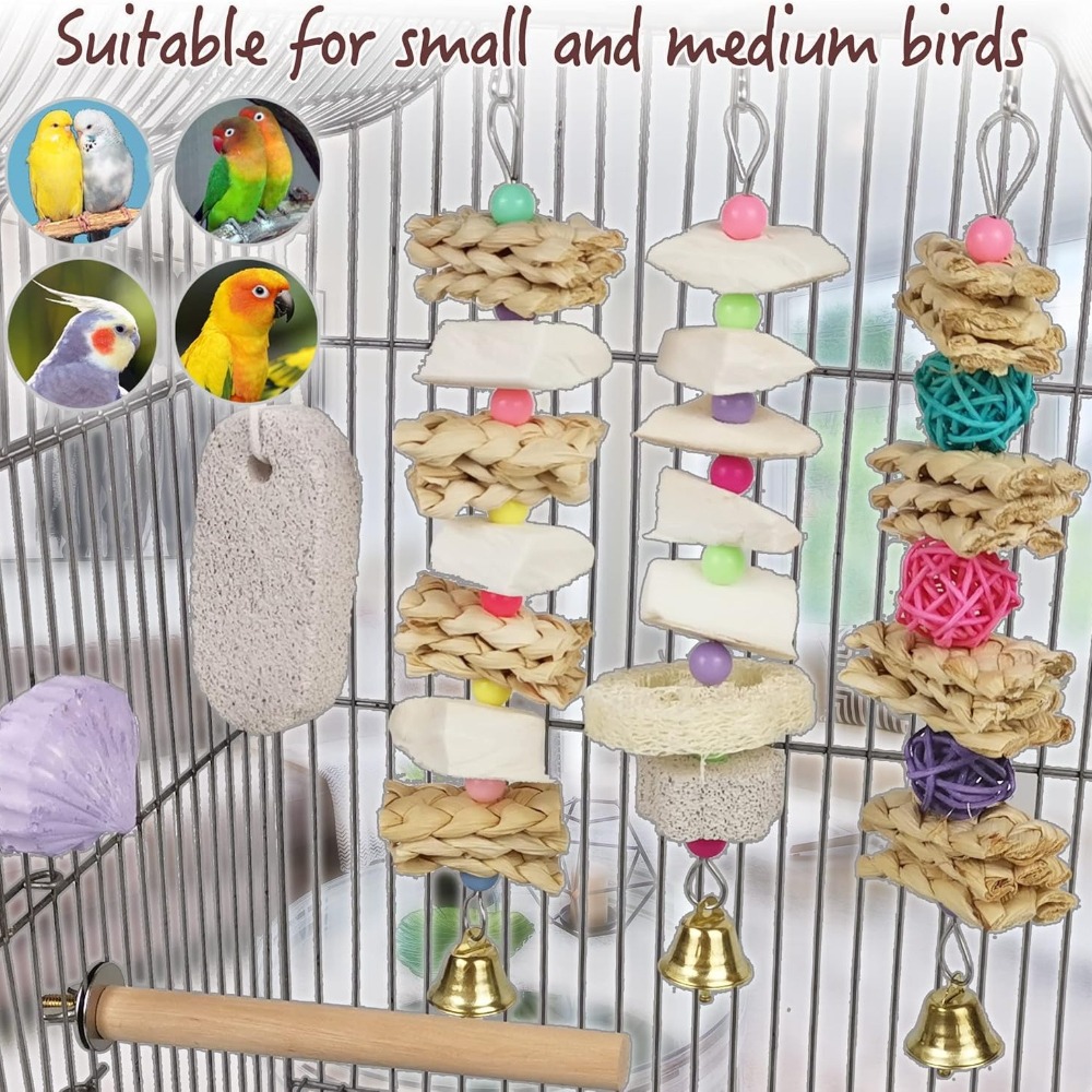 TEMU 6pcs Cuttlebone & Chewing Toys For Parrots - Bird Beak Trimmer, Grinding Stones, Lava With Chewable Cage For Small/medium Parrots, Cockatiels,