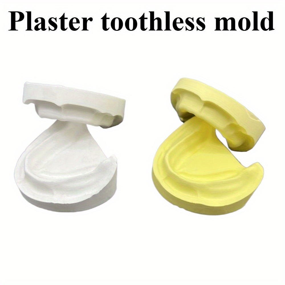 

Create And Tooth Models With Plaster - Ideal For Dental Students And Professionals