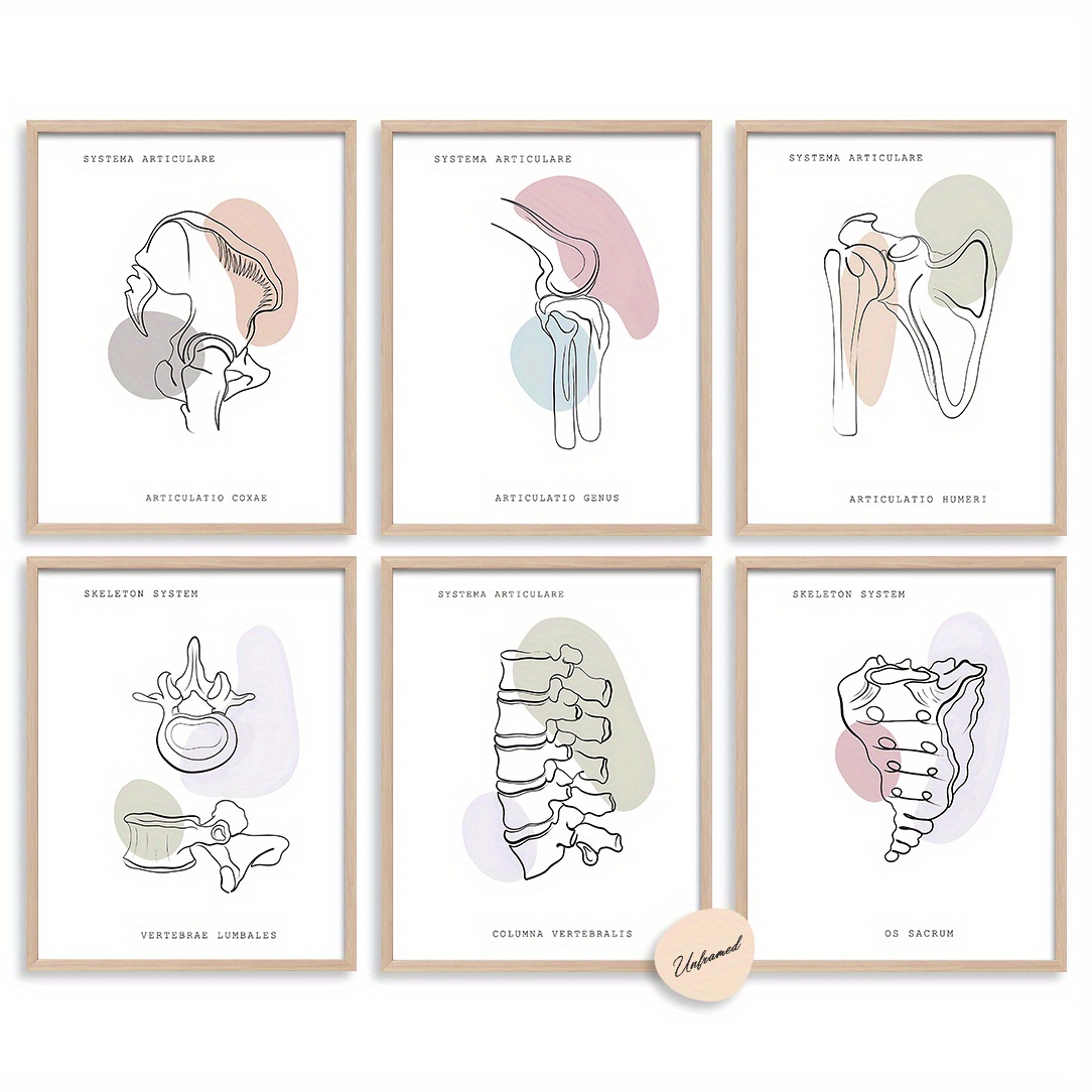 TEMU Set de 6 piezas de pared de anatomía 2D , sin , ilustraciones médicas, decoración de médico ortopédico, póster de de masaje espinal, obra de