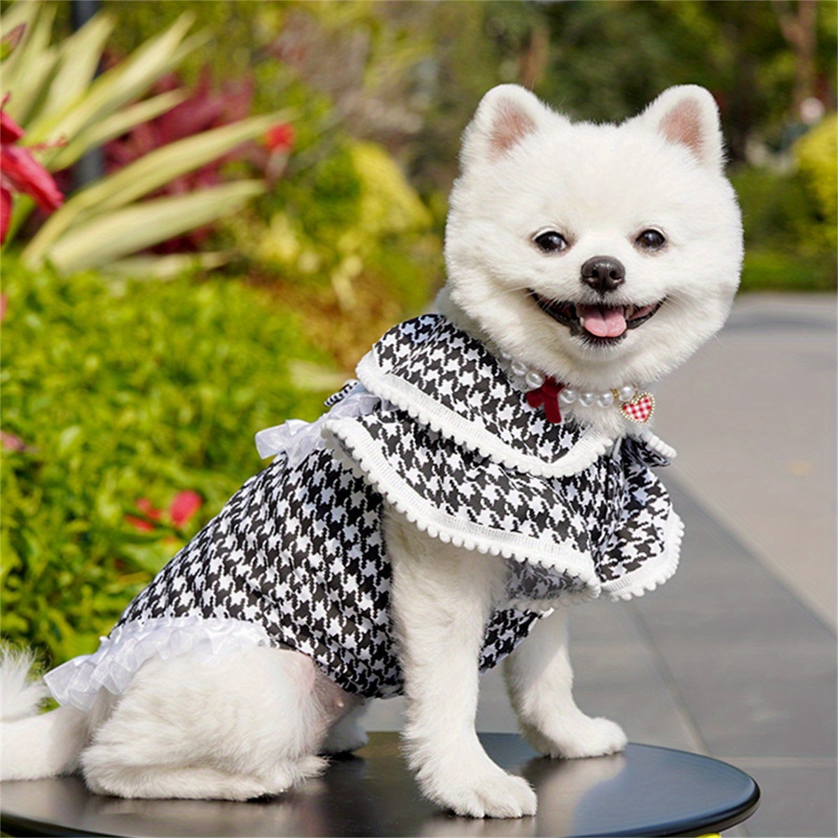 pet princess dress costume lace trim - Temu