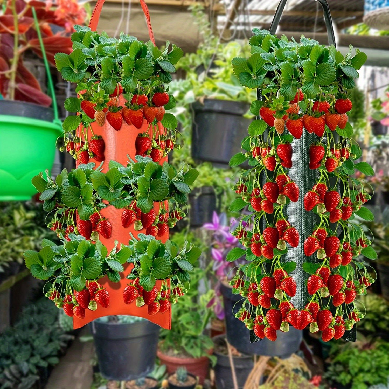 

Strawberries With This 8-hole Hanging Grow Bag!