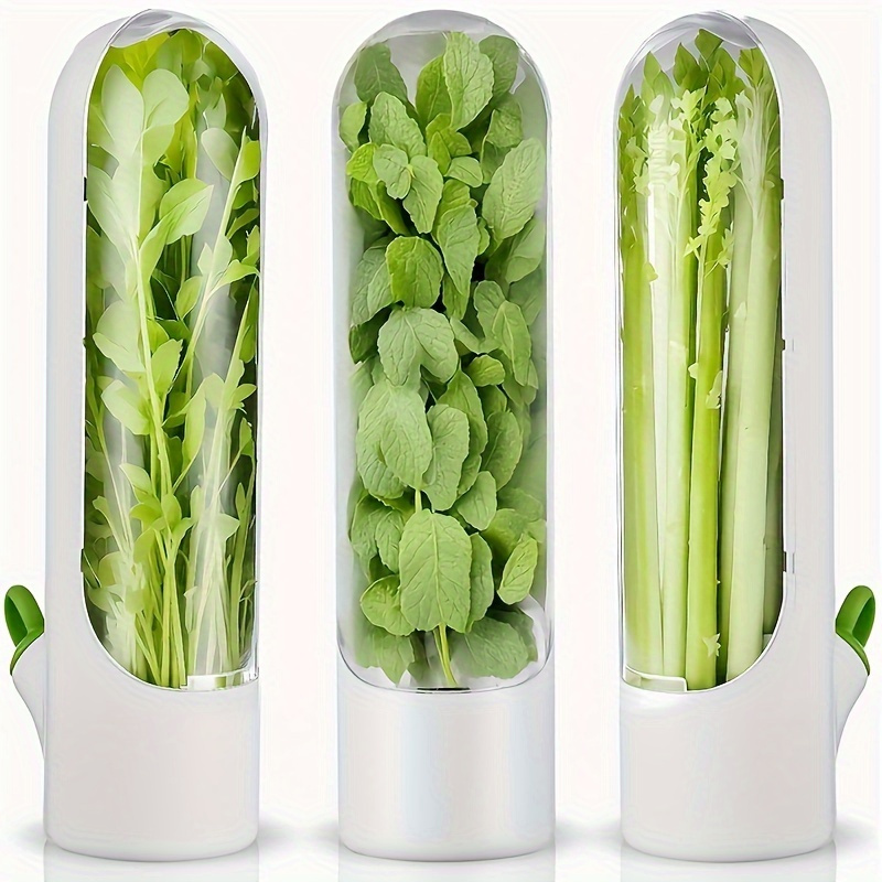 TEMU 1/2/3/6pcs Preservation Boxes, Coriander, Parsley, Preservation Boxes, Can Keep Vegetables Fresh For 2-3 Weeks