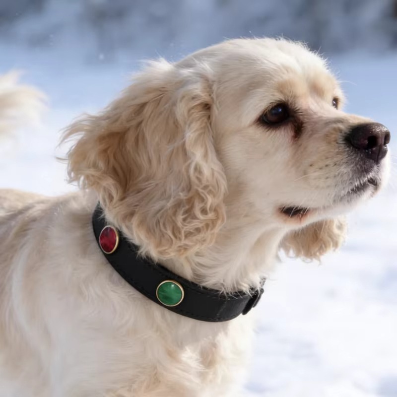 Light Luxury Pet Collar with Colorful Beads