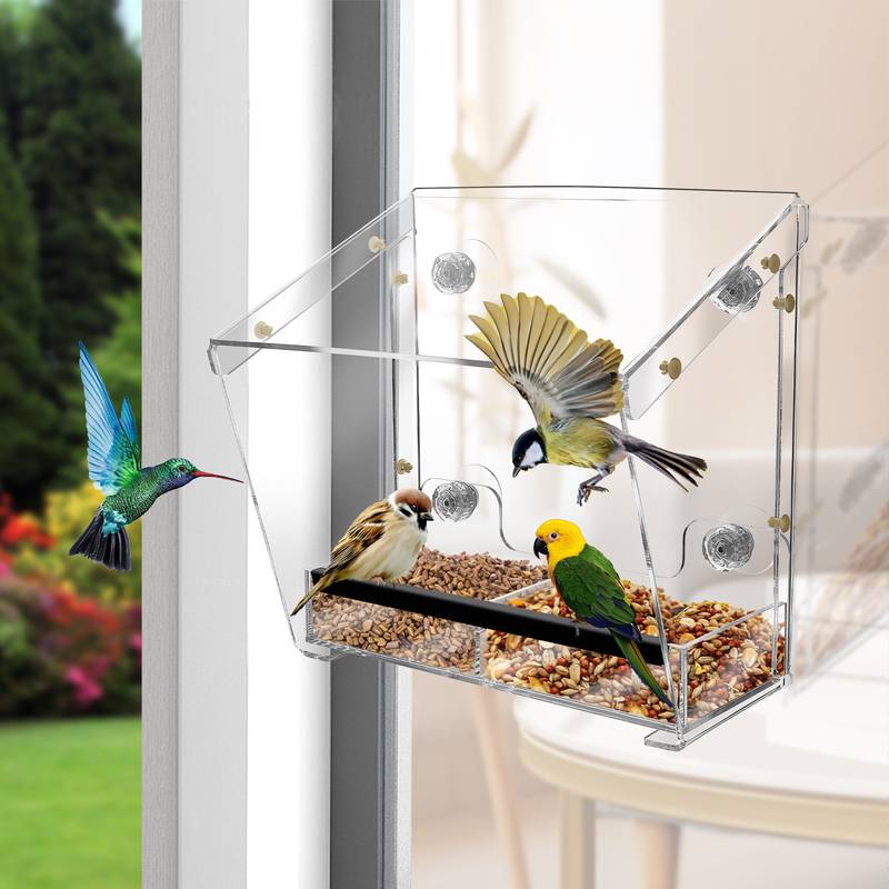 Automatic Window Bird Feeder: Effortless Birdwatching Delight