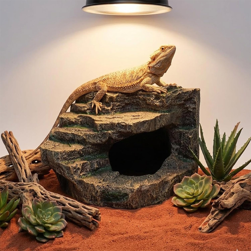 lizard accessories sold on Temu Australia