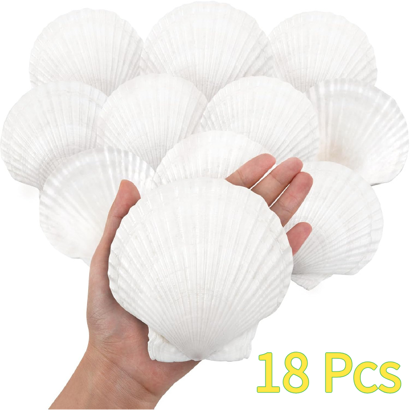 18pcs Large Scallops Suitable For Hand-painted Diy Crafts, Seafood Baking, Beach Wedding Table Decor - Sea Shells For Nautical Parties, Seafood Displays, Bowl Centerpieces (handmade Material)