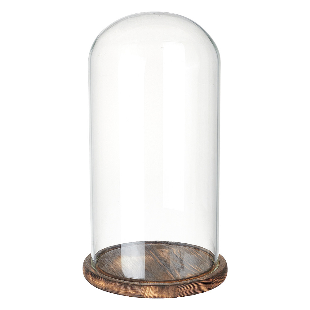 TEMU Suministros de vidrio fusible 1 pieza de cubierta de de cristal, vitrina de exhibición , campana de cristal, terrario con base de madera