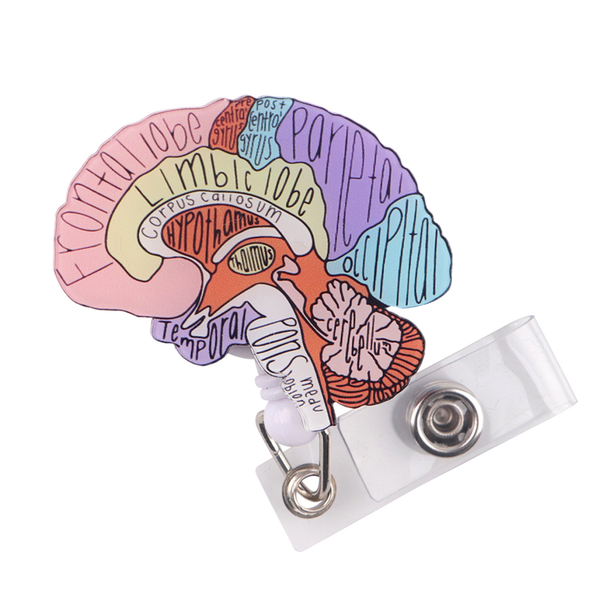 2d Human Brain Anatomy 2d Flat Retractable Holder Reel With Cute Design, Nurse Hospital Badge Holder Office Lanyard 1pc, 2d Flat