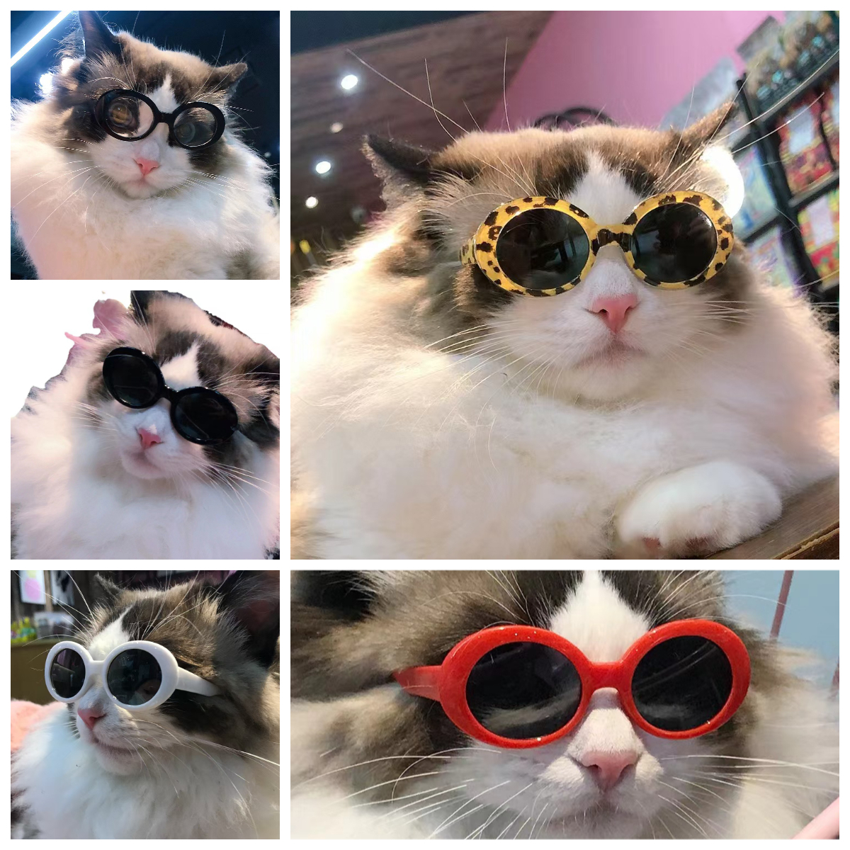 5pcs Pet Glasses, Suitable For Cats And Dogs, 3.15 Inch Eyeglasses, Ideal For Pet Dressing Up And Photography Props