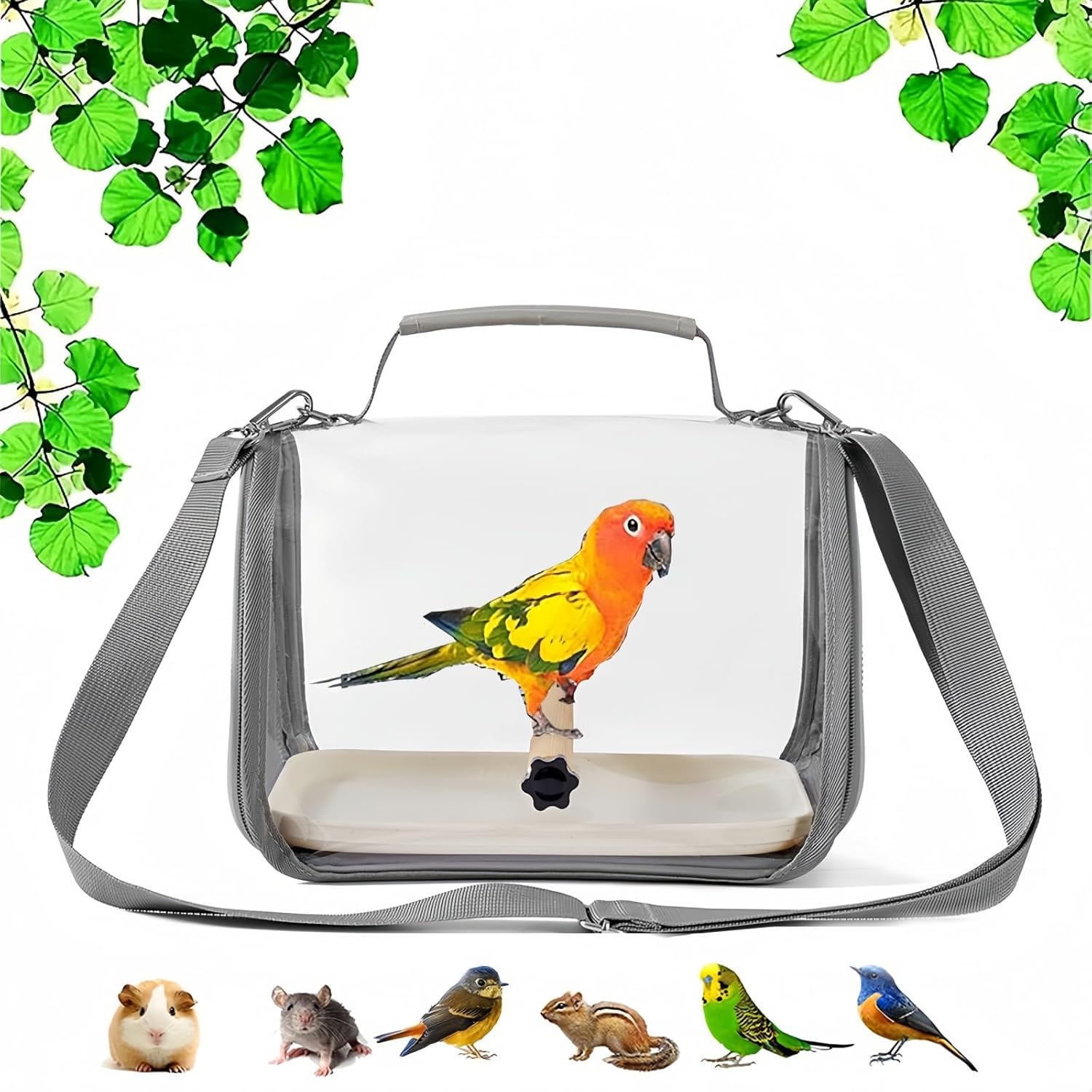 Compact Bird Travel Carrier Cage | With Standing Perch, Mat, And Tray For Birds And Lizards