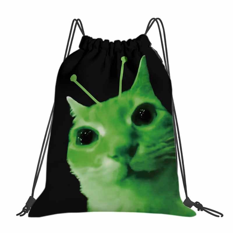 TEMU 1pc Cute Cat & Print Backpack - Oxford Softshell Gym With Pockets, Adjustable Strap & Accent - Bookbag For & (machine-washable) - Travel, Yoga