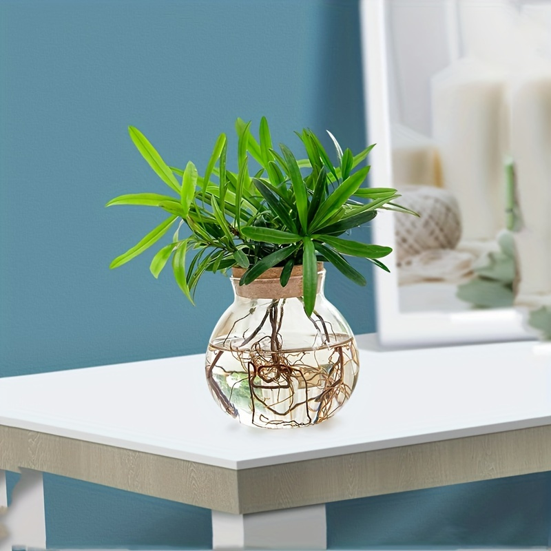 Elegant Design