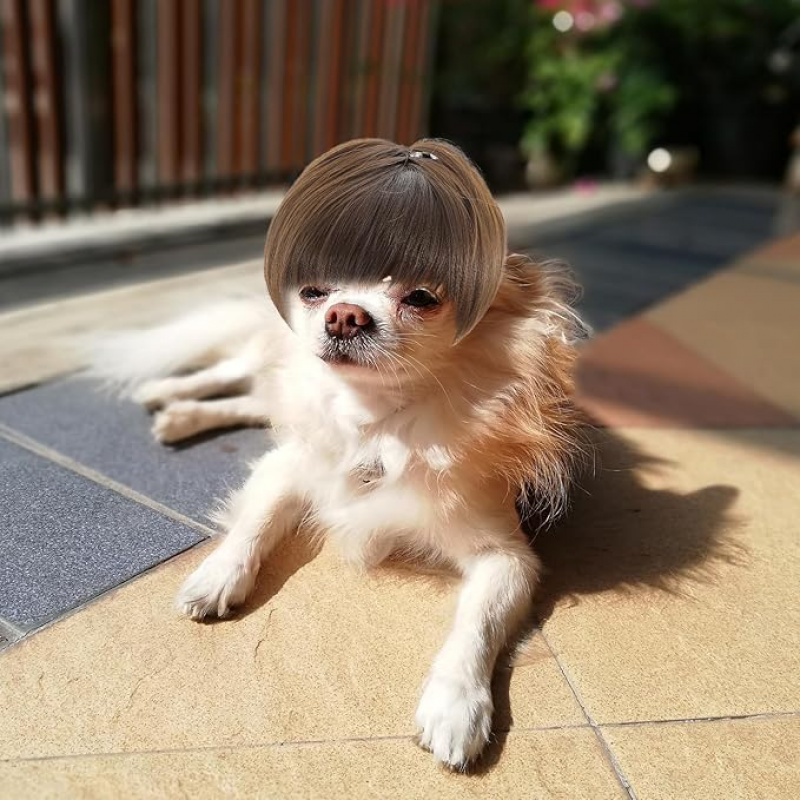 event ready adjustable funny dog wig small medium pets brown