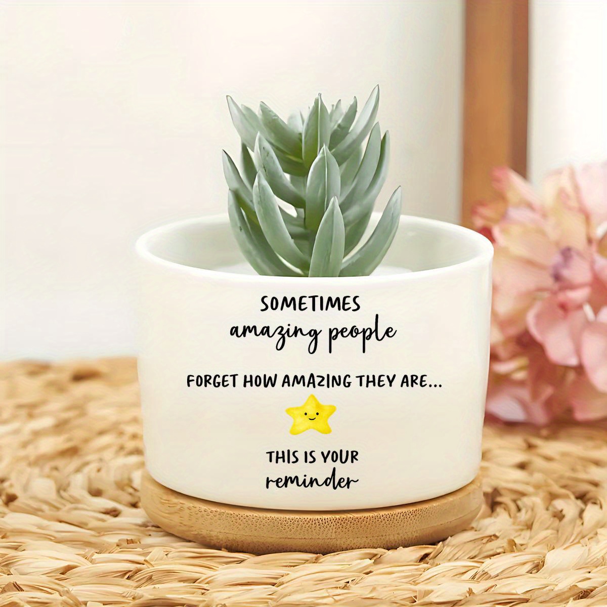 TEMU Le pot de fleurs fait aux qualités incroyables - Excellents pots de fleurs en céramique, super cadeau pour guide, , parent, collègue - Cadeaux