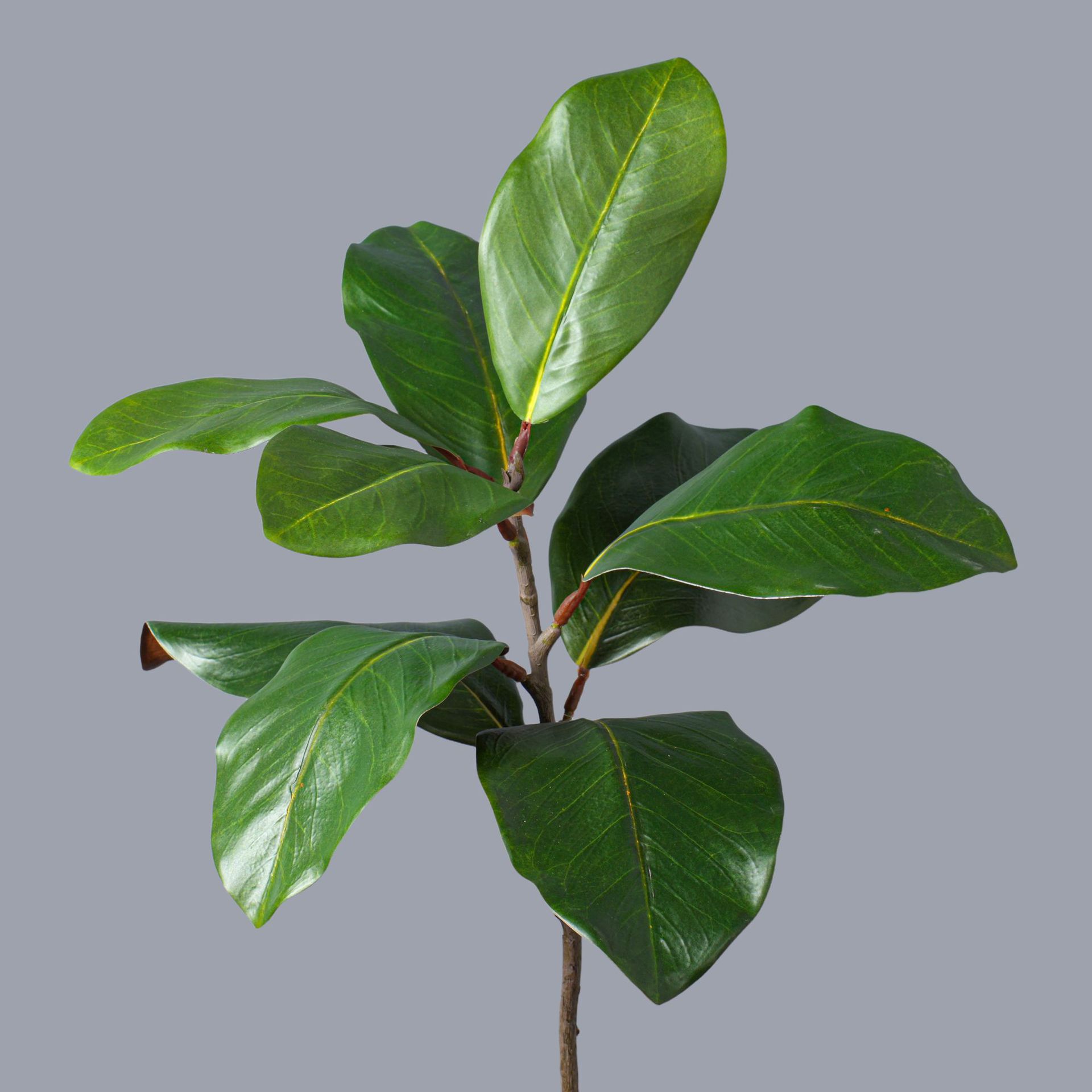 TEMU High Quality Artificial Magnolia Branches, 72cm Faux Berry Stems, Vivid Realistic, To With Other Plants, Better Display When Used In Multiple