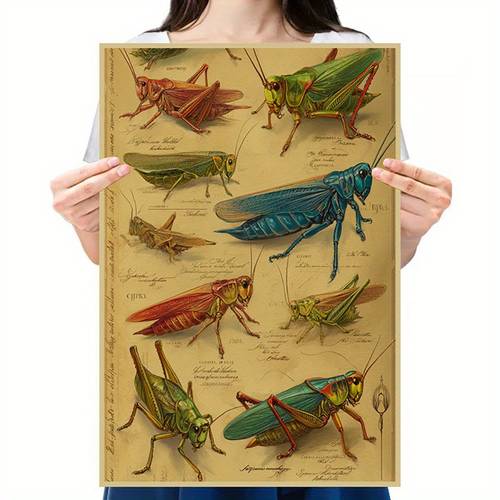 öğe resmi 2d düz, 2d düz, 1 adet kağıdı poster, renkli böcek i̇llüstrasyonlarına , doğa temalı dekor i̇çin mükemmel. bu vintage tarzı, oturma odası, yatak odası, ev ofisi gibi çeşitli odalar i̇çin uygun bir eğitimli duvar dekorasyonu olarak hizmet verir.