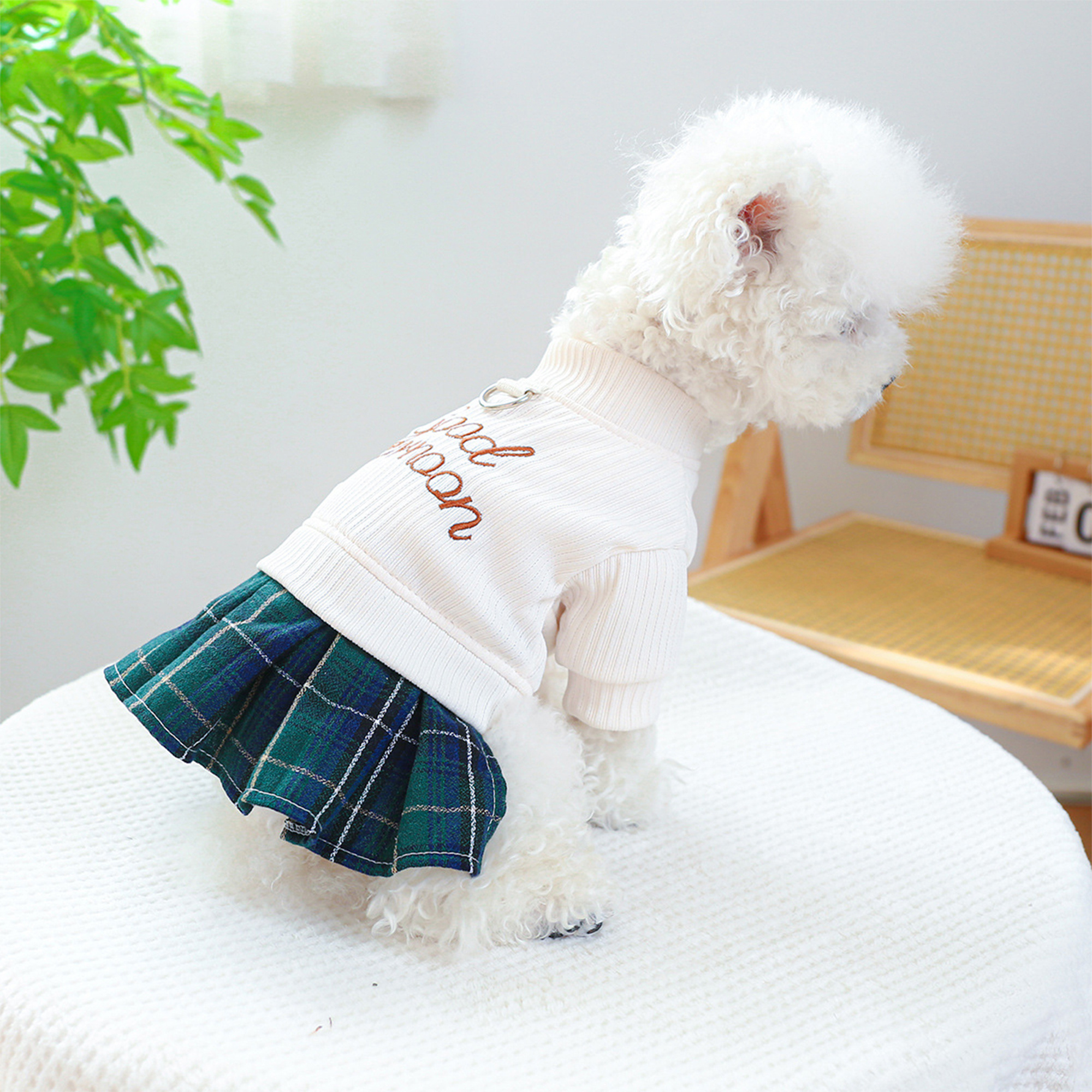 slim fit dress slacks Bling Black Dog Dress | Wedding | Poshdoglife.com